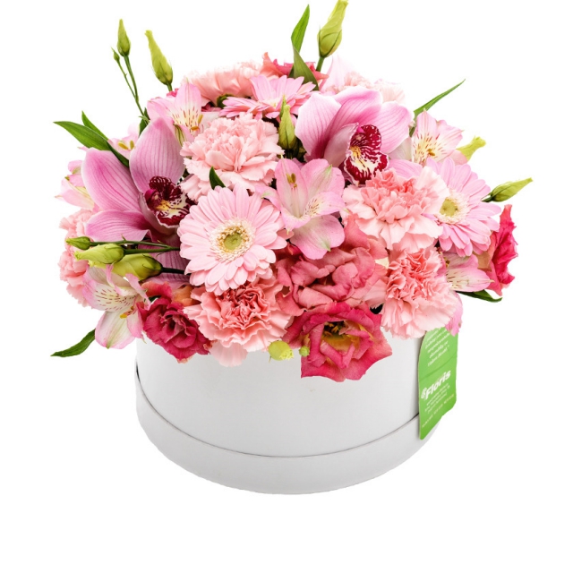 Flower box růžový mix